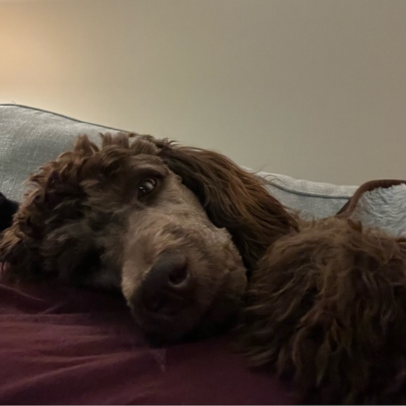 Meet your Posher, Michael - Picture 1 of 1